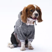 PawStar Siyah New York Tulum - 3