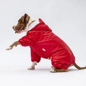 PawStar Kırmızı Muson Büyük Irk Yağmurluk - 5