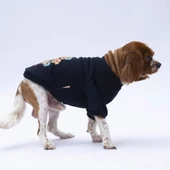 PawStar Siyah Chogqing Sweat Küçük ve Orta Irk - 2