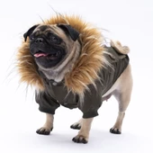 PawStar Haki Charles Yağmurluk Küçük ve Orta Irk thumbnail 2