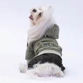 PawStar Yeşil New York Tulum - 1