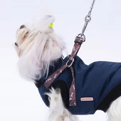 PawStar  Gri Lacivert Nuuk Kolsuz Yelek Yağmurluk Küçük ve Orta Irk - 1