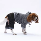 PawStar Siyah New York Tulum - 2