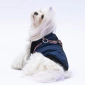 PawStar  Gri Lacivert Nuuk Kolsuz Yelek Yağmurluk Küçük ve Orta Irk - 2