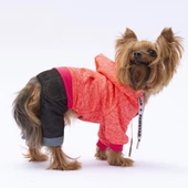 PawStar Pembe New York Tulum - 2