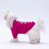 PawStar Pembe Chogqing Sweat Küçük ve Orta Irk thumbnail 2