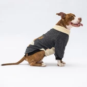 PawStar Siyah Kırçıllı Alaska Büyük Irk Sweat - 2