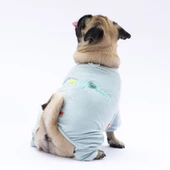 PawStar Mint Angers Tulum Küçük ve Orta Irk - 5