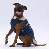 PawStar Lacivert  Yukon Büyük Irk Kolsuz Yelek - 3