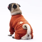 PawStar Kiremit Angers Tulum Küçük ve Orta Irk - 1