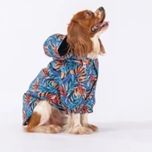 PawStar Autumna Yağmurluk Küçük ve Orta Irk - 2