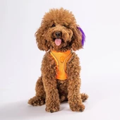PawStar  Neon Orange - Neon Turuncu Airmesh Köpek Göğüs Tasması - 1