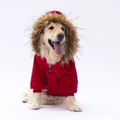 PawStar Kırmızı Charles Büyük Irk Yağmurluk Mont - 2