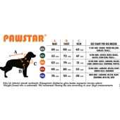 PawStar Mor Railway Büyük Irk Yelek - 3