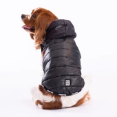 PawStar Siyah Railway Küçük ve Orta Irk Yelek - 1