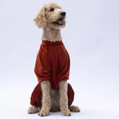 PawStar Kiremit Angers Büyük Irk Tulum - 4