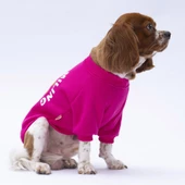 PawStar Pembe Lahti Sweat Küçük ve Orta Irk - 4