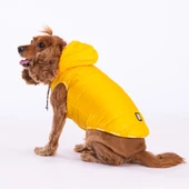 PawStar Sarı Railway Küçük ve Orta Irk Yelek - 1