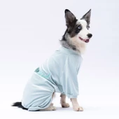 PawStar Mint Angers Büyük Irk Tulum thumbnail 2