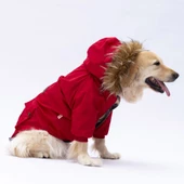 PawStar Kırmızı Charles Büyük Irk Yağmurluk Mont - 3