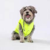 PawStar Neon Sarı Railway Küçük ve Orta Irk Yelek - 3