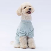 PawStar Mint Angers Tulum Küçük ve Orta Irk - 3