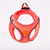 PawStar  Neon Pink - Neon Pembe Airmesh Köpek Göğüs Tasması thumbnail 2