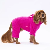 PawStar Pembe Tapeti Tulum Küçük ve Orta Irk - 2