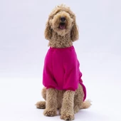 PawStar Pembe Carmel Büyük Irk Sweat - 2