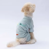 PawStar Mint Angers Tulum Küçük ve Orta Irk - 1