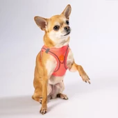PawStar  Neon Pink - Neon Pembe Airmesh Köpek Göğüs Tasması thumbnail 1