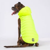 PawStar Neon Sarı Railway Büyük Irk Yelek - 1