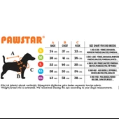 PawStar Neon Sarı Railway Küçük ve Orta Irk Yelek - 7