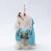 PawStar Hollywood Yağmurluk Küçük ve Orta Irk - 2