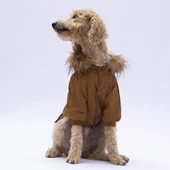 PawStar Camel Chrles Büyük Irk Yağmurluk - 5