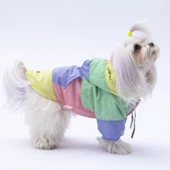 PawStar Pastel Kauai Yağmurluk Küçük ve Orta Irk - 2