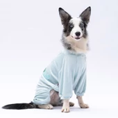 PawStar Mint Angers Büyük Irk Tulum thumbnail 3