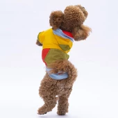 PawStar Vivid Kauai Yağmurluk Küçük ve Orta Irk - 2