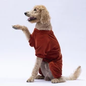 PawStar Kiremit Angers Büyük Irk Tulum - 2