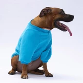 PawStar Turkuaz Carmel Büyük Irk Sweat thumbnail 3