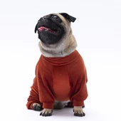 PawStar Kiremit Angers Tulum Küçük ve Orta Irk - 3