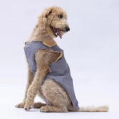 PawStar Gri Yukon Büyük Irk Kolsuz Yelek - 3