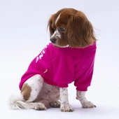 PawStar Pembe Lahti Sweat Küçük ve Orta Irk - 2