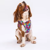 PawStar  Airmesh Puzzle Göğüs Tasması - 2