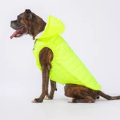 PawStar Neon Sarı Railway Büyük Irk Yelek - 2