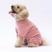 PawStar Rose Angers Tulum Küçük ve Orta Irk - 1