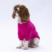 PawStar Pembe Lahti Sweat Küçük ve Orta Irk - 3