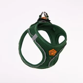 PawStar  Pine Green - Çam Yeşili Airmesh Köpek Göğüs Tasması - 3