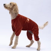 PawStar Kiremit Angers Büyük Irk Tulum - 3