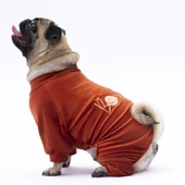 PawStar Kiremit Angers Tulum Küçük ve Orta Irk - 2